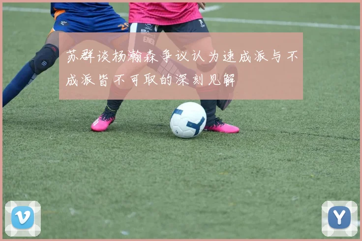 苏群谈杨瀚森争议认为速成派与不成派皆不可取的深刻见解
