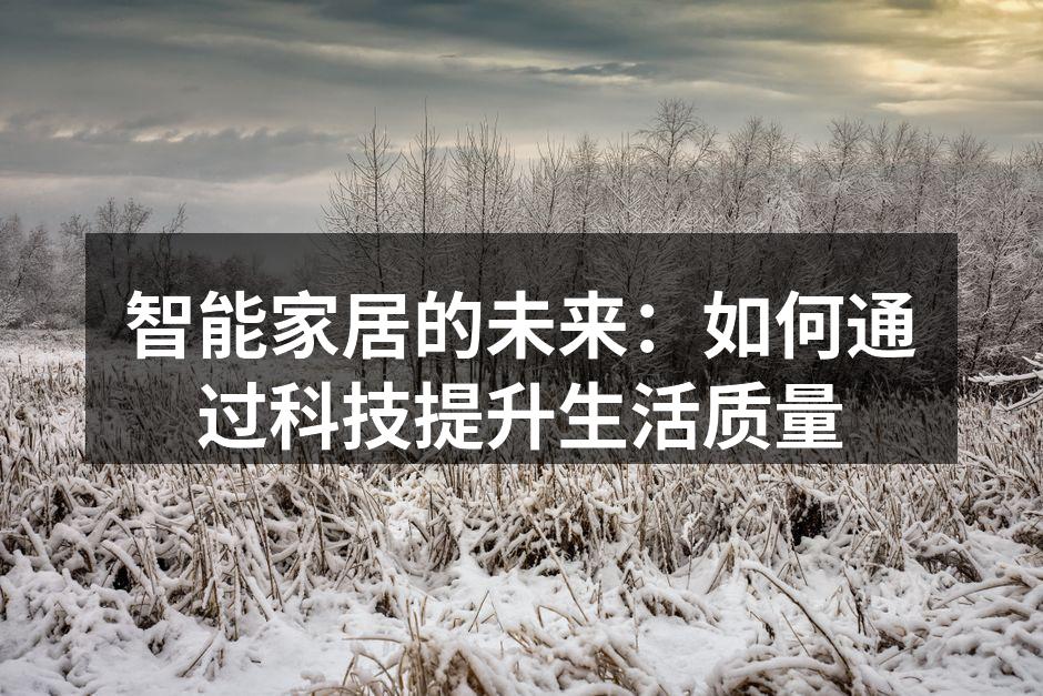 智能家居的未来：如何通过科技提升生活质量